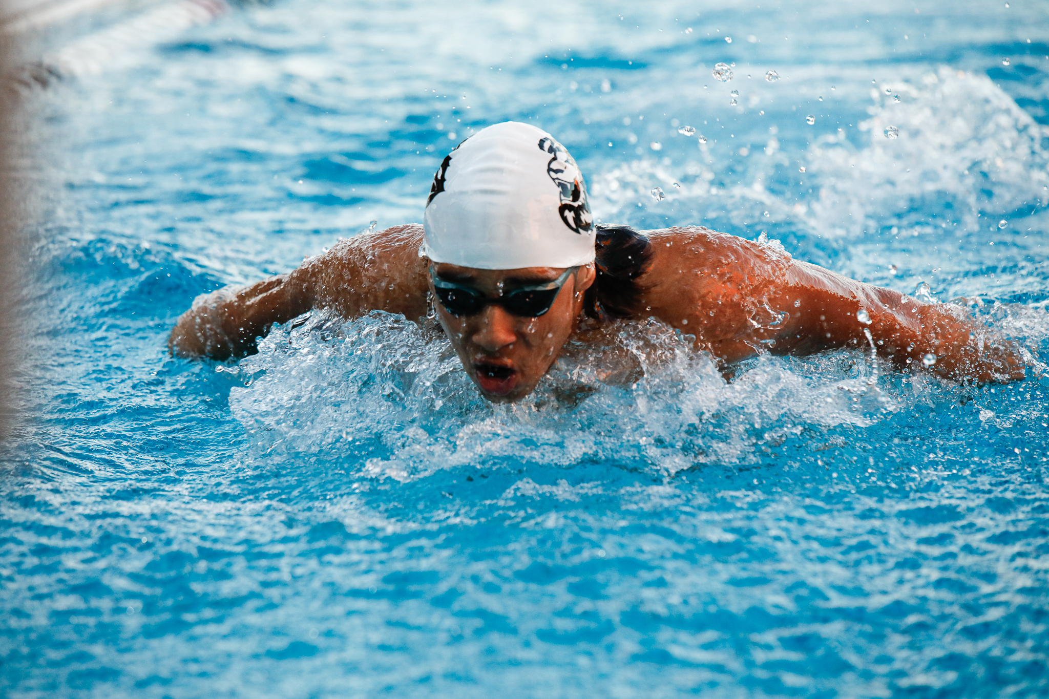 Men&rsquo;s Swimming Competes at Southwestern in Conference Meet